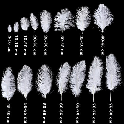 Wholesale 10Pcs/Lot Elegant White Ostrich Feathers 15-75Cm for Craft Wedding Party Supplies Carnival Dancer Decoration Plumages