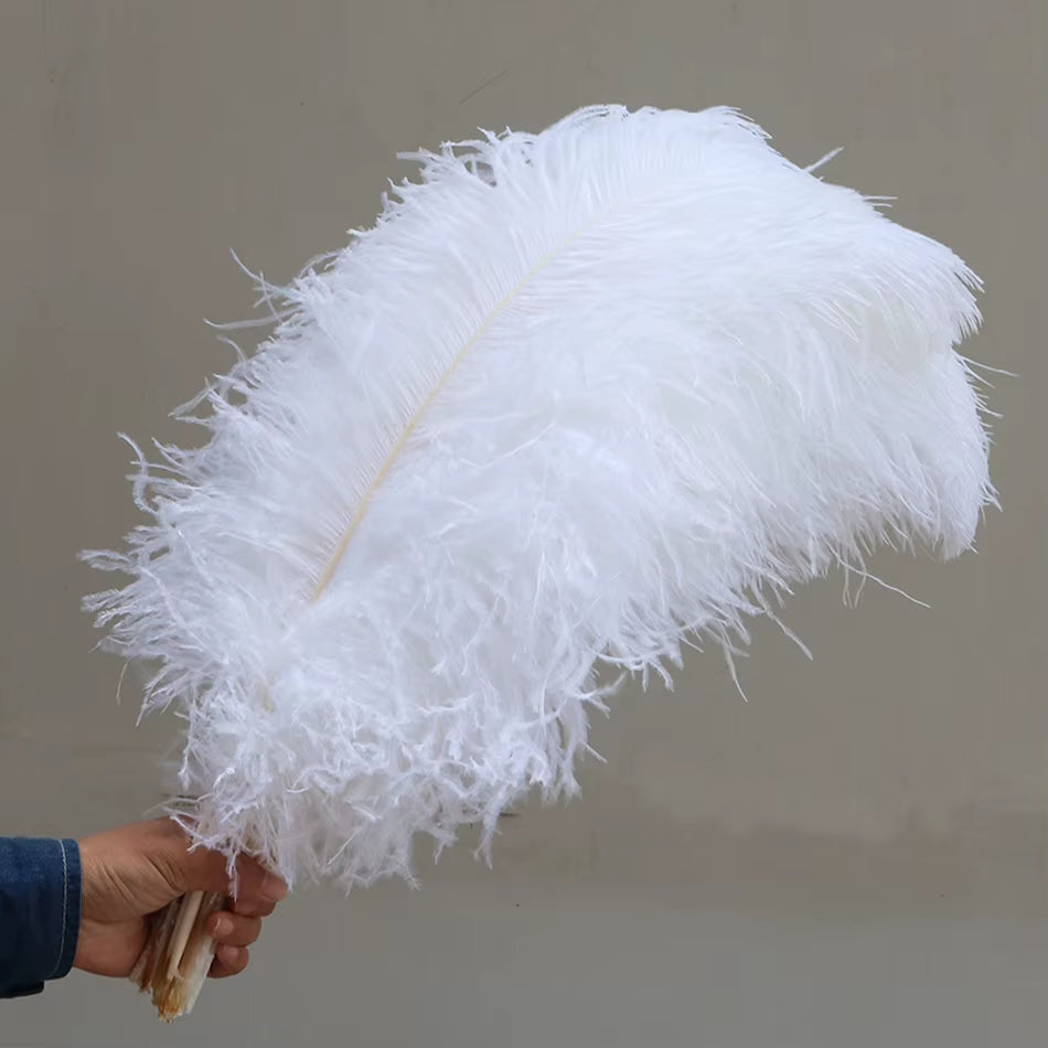 Wholesale 10Pcs/Lot Elegant White Ostrich Feathers 15-75Cm for Craft Wedding Party Supplies Carnival Dancer Decoration Plumages